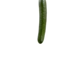 Cucumber