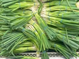 Green onion