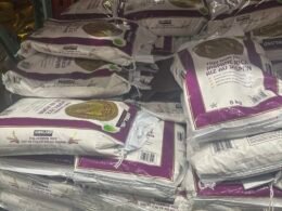 Kirkland Thai jasmine rice