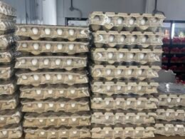 Egg crate 30/pcs